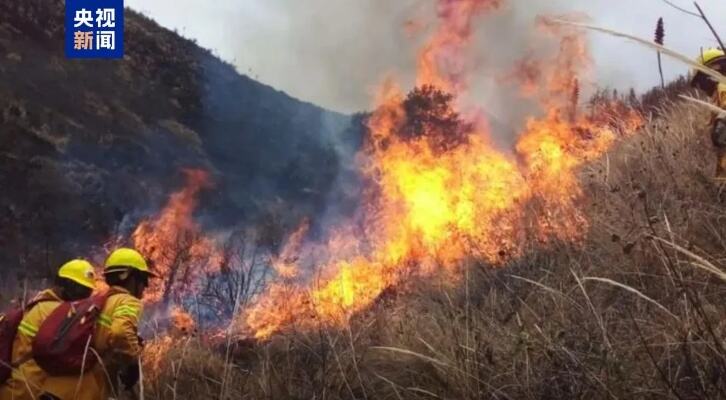 火灾导致15人死亡