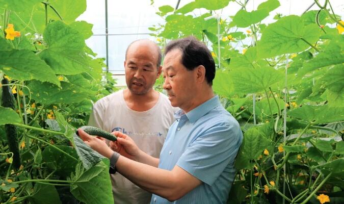 春节期间菜篮子产品物丰价稳