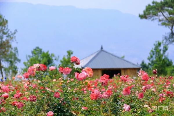 云南省以文旅融合赋能乡村振兴