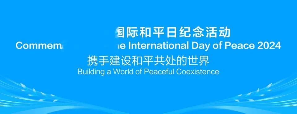 国际性盛会现场的云南译者力量