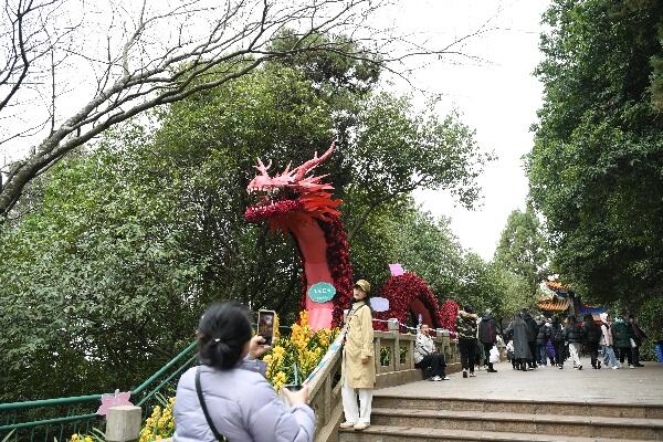 龙年春节旅游产品预订激增