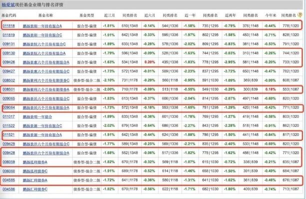 睿远基金总经理饶刚