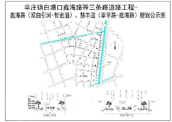 津南区辛庄镇开展党建联建系民心