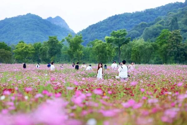 从新动能看中国经济发展前景