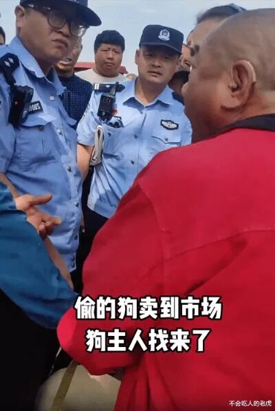 大叔和狗贩子拼命拉扯夺回丢失爱犬