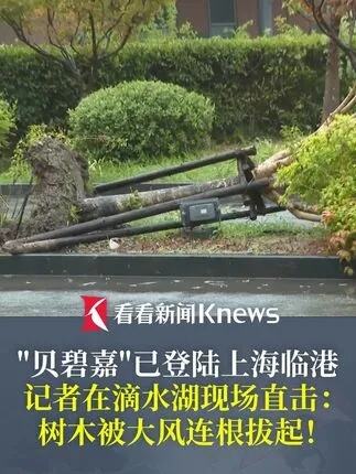 男记者在上海临港被台风推着走