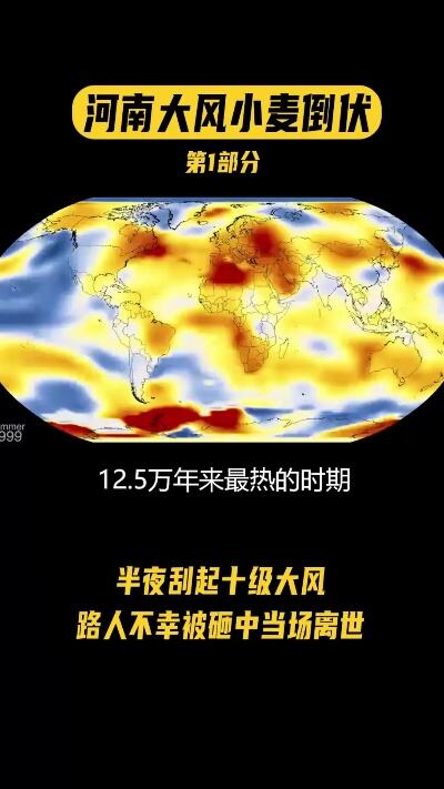 河南多地小麦又遇倒伏