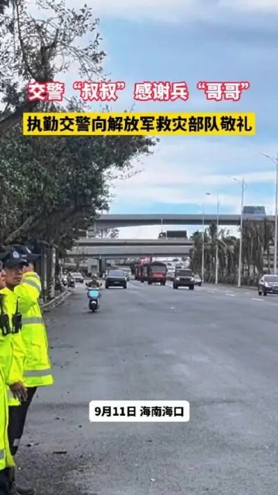 国安警察敬礼背影