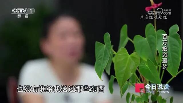 杀猪盘又称玫瑰陷阱