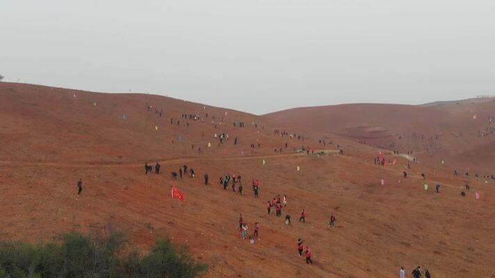 兵团各师团掀起春季植树造林热潮