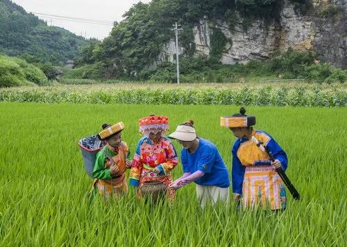 四川古蔺县检侨之家正式成立