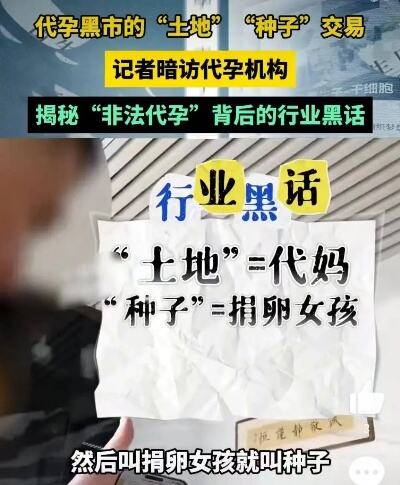 50岁徐静蕾近照刷疯全网