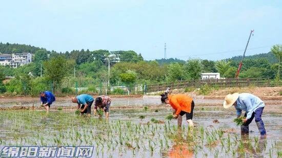 初夏敦煌披绿装