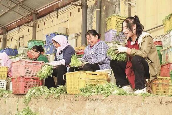 青海冷凉蔬菜出口不断扩大朋友圈