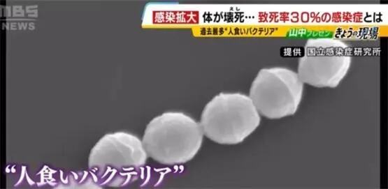 今年前两月已致13人死亡