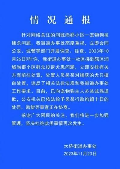 安徽宠物犬被抓走宰杀后续