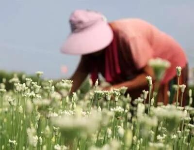 线上招聘持续至3月31日