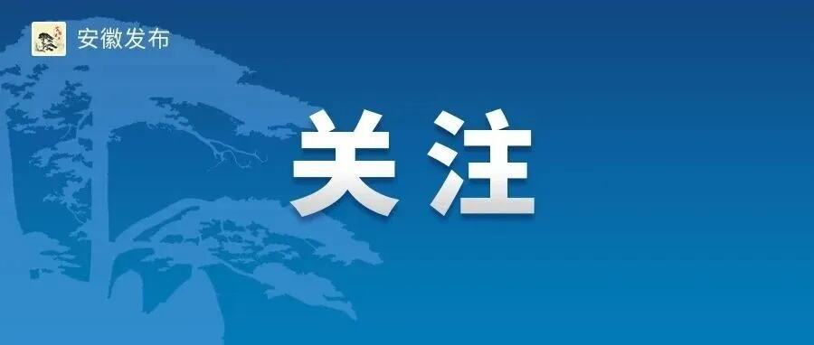 整治网络戾气弘扬社会正气