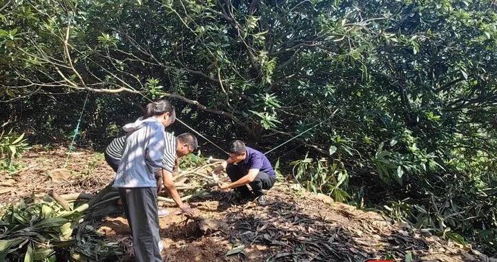 苏州市吴中区区图书馆部门名称