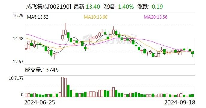 成飞集成