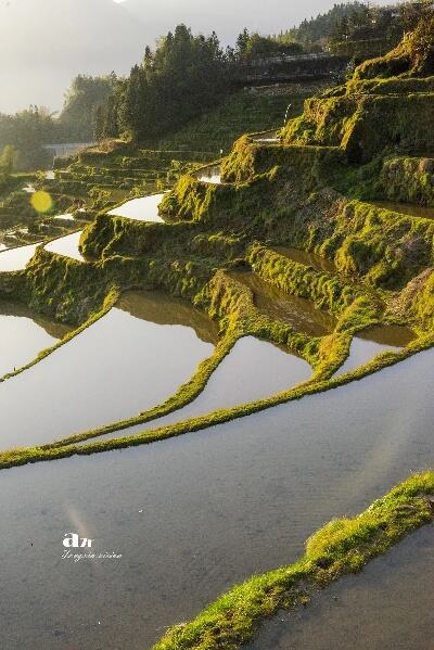 浙江云和梯田景区现雾凇美景