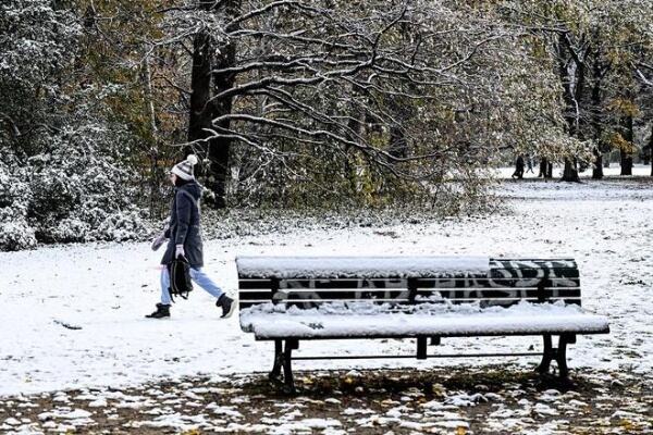 德国多地降下今冬初雪