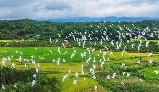 一条清江造就如诗如画风景