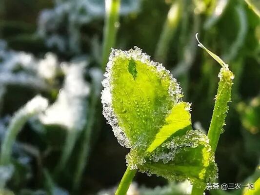 甘肃新一轮降水来袭