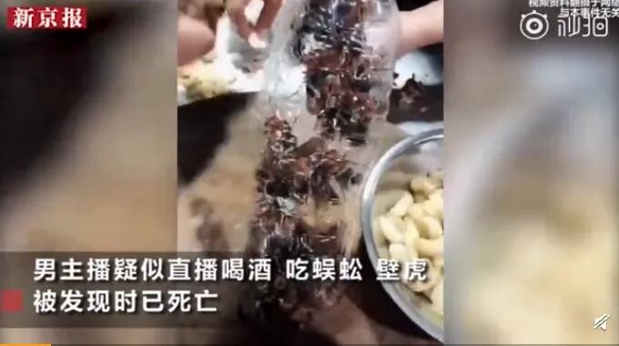 网购大量活体面包虫恶意索赔