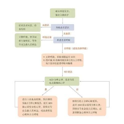 日常意外急救指南