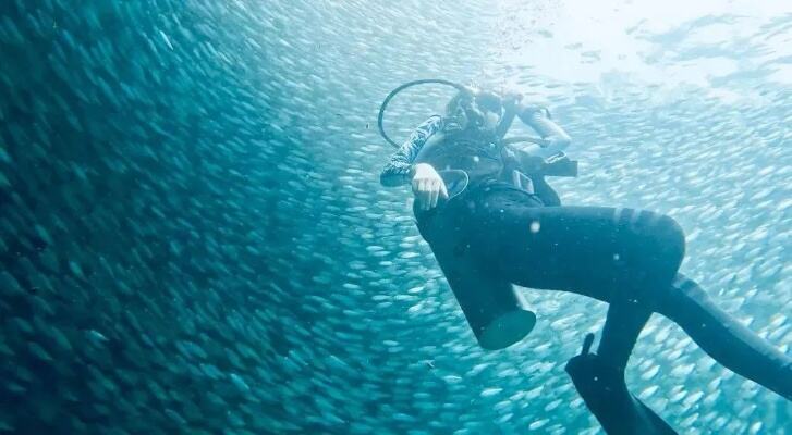 海底潜水时突然被陌生人摘下面罩